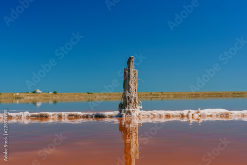 sunset on a pink salt lake, a former mine for the extraction of pink salt. row of wooden pegs overgrown with salt