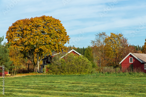 Svensk landsbygd i höstfärger photo