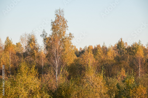 Lithuanian autumn 