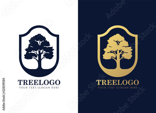 Gold and dark blue tree logo sign in Elegant shield frame vector design
