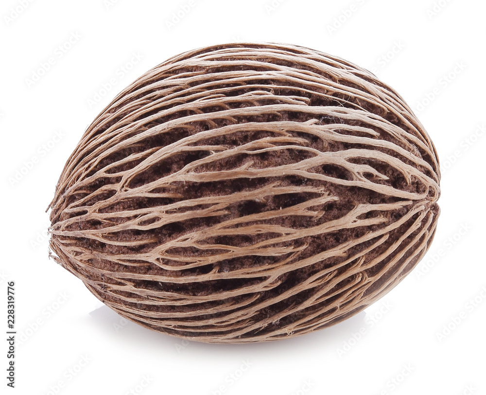 Suicide tree seed cerbera on white background Suicide tree seed cerbera on white background