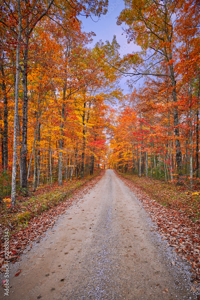 Gravel Road with Fall Leaves