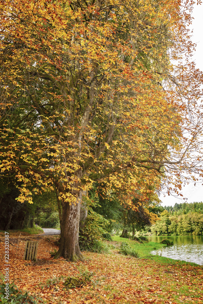 Autumnal colours at Shearwater, Wiltshire Autumnal colours at Shearwater, Wiltshire