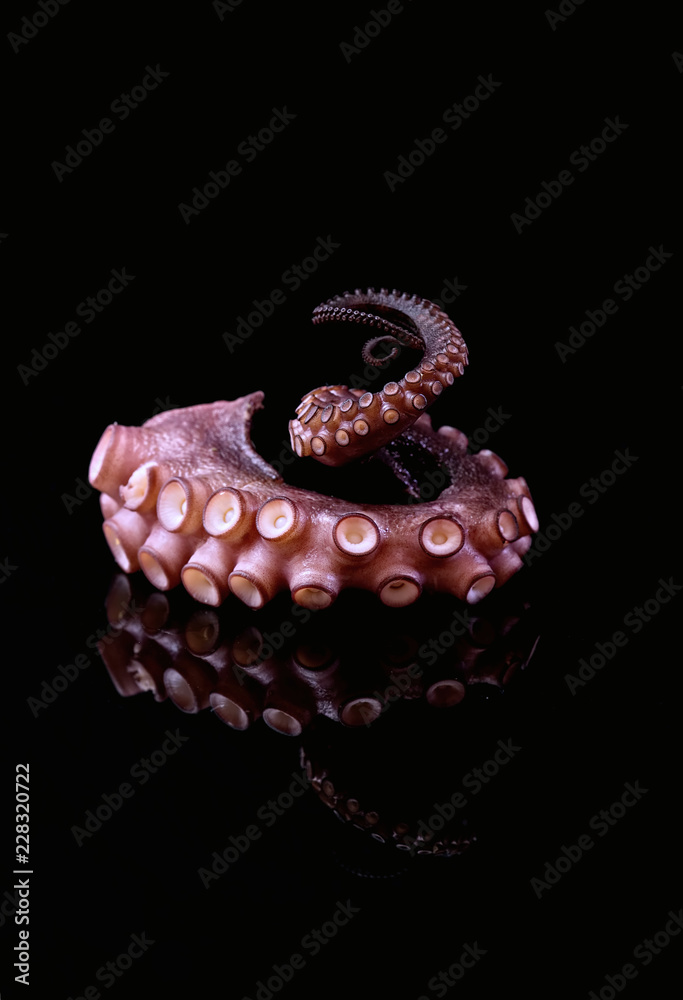 Oktopus Tentakel Seafood Oktopus Tentakel Seafood