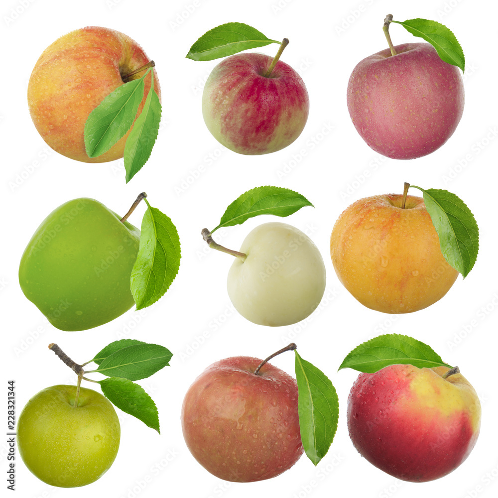 set of apples isolated on white background set of apples isolated on white background