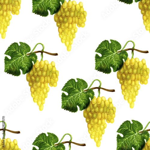 Grape seamless watercolour natural pattern