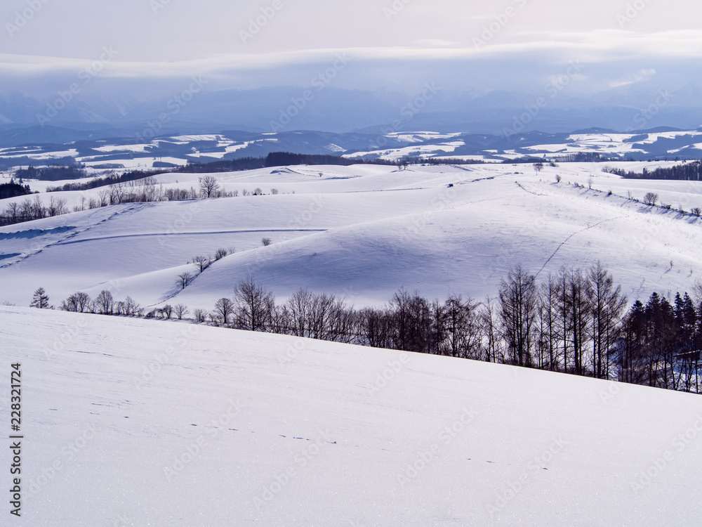 真冬の丘