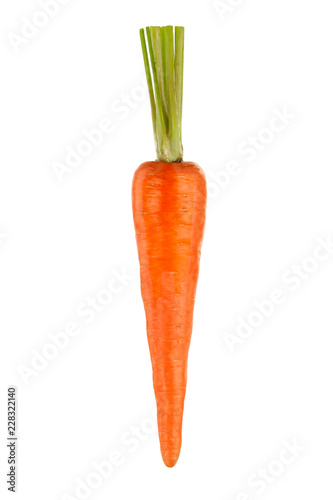 orange carrot isolated on white background