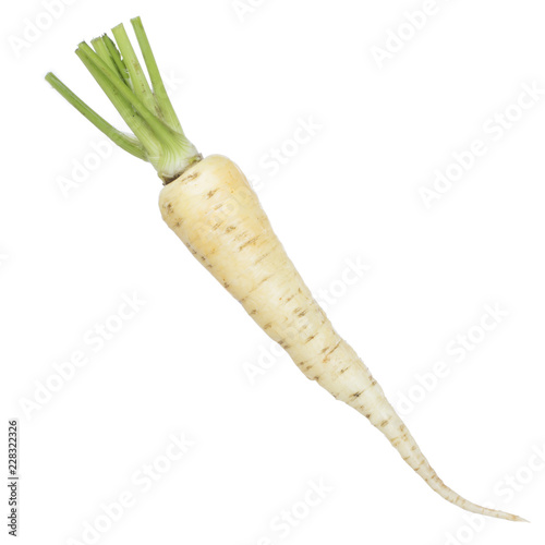 white carrot isolated on white background