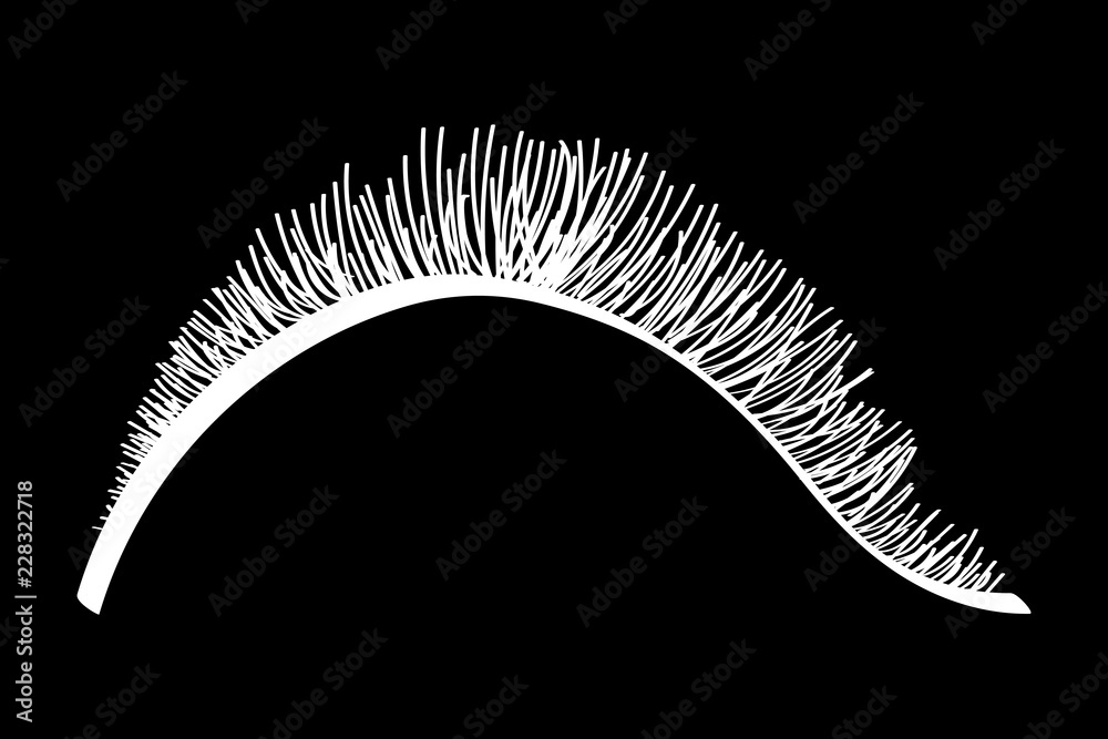 White false eyelashes. Mascara decorative element vector illustration