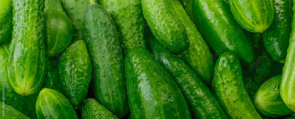 heap of cucumbers background banner heap of cucumbers background banner