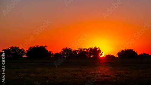 Orange sunrise in the field