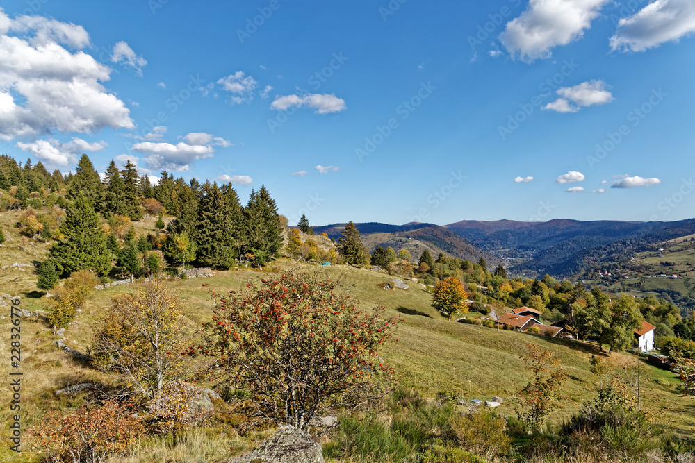 Les Vosges en automne