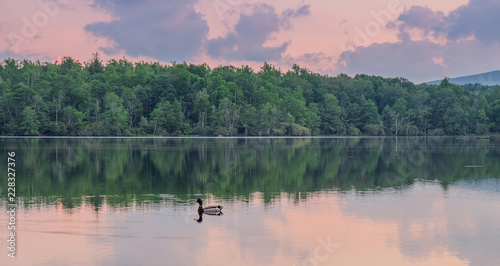 Julian Price Memorial Park  North Carolina  USA - June 14  2018  Nice sunset at a lake in Julian Price Memorial Park with a duck in the water