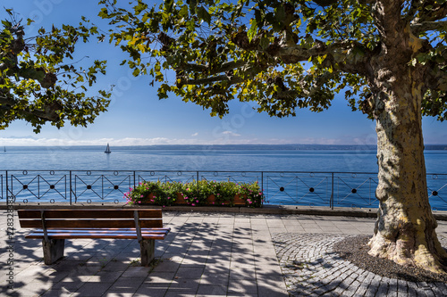 Obraz na płótnie Bodensee Ufer Platane Balustrade Sitzbank sonnig entzerrt