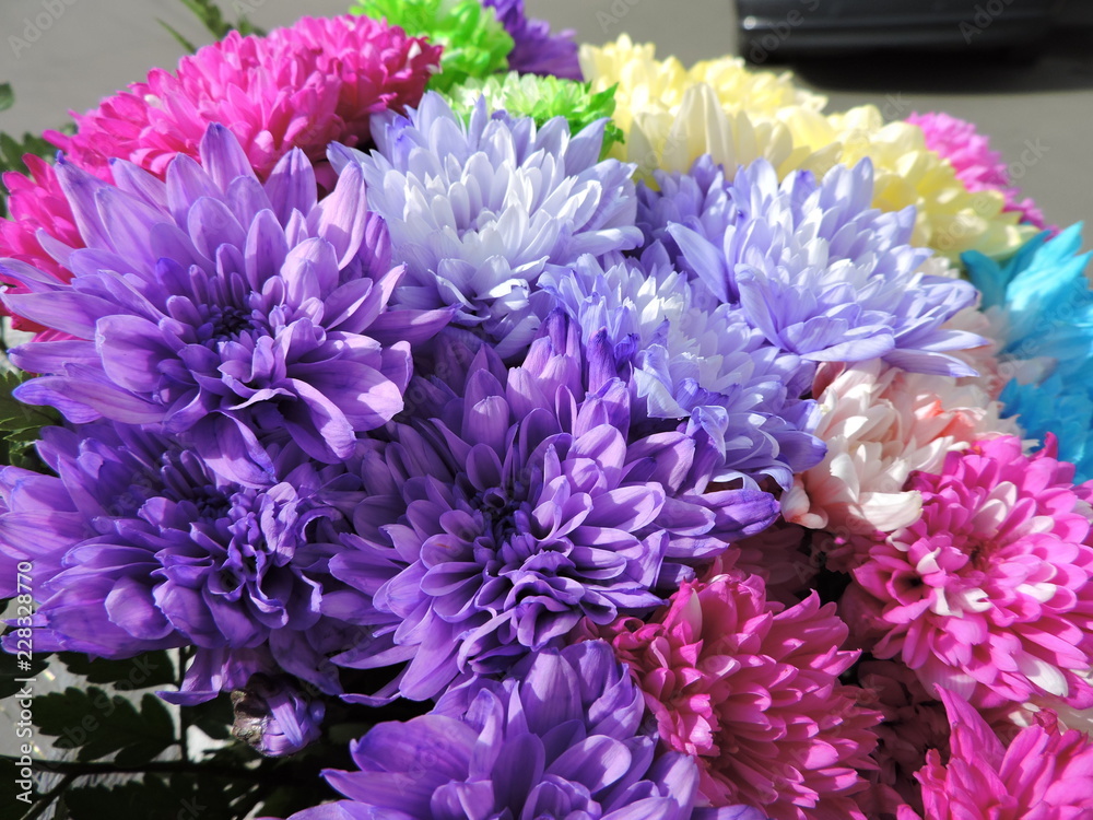 bouquet of chrysanthemum