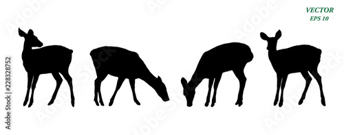 Vector of deers silhouette set, isolated on white background.