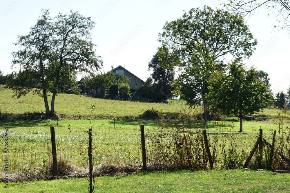 weilanden om een boerderij in de heuvels van de Franse Vogezen 