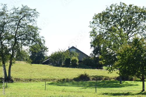 weilanden om een boerderij in de heuvels van de Franse Vogezen  photo