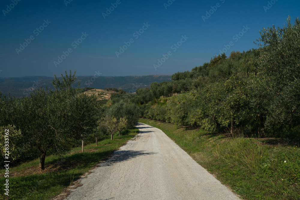 Bergstraße Istrien 