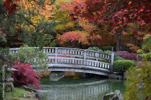 Autumn at The Japanese Gardens - Spokane, WA 