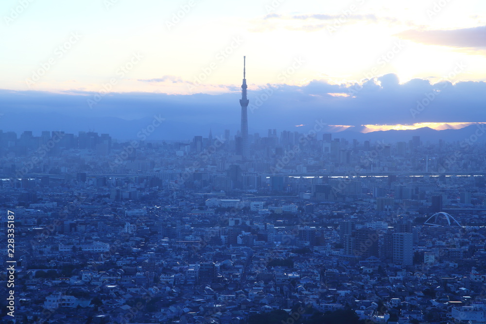 Tokyo city skyline at sunset in Tokyo, Japan.