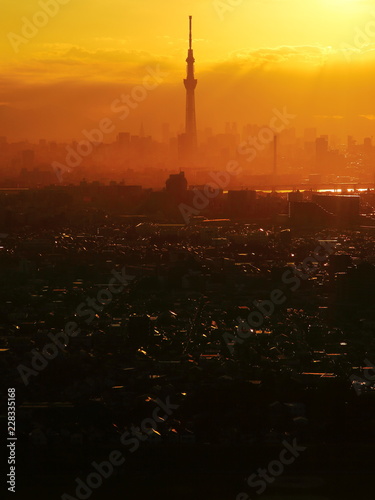 Photography Tokyo city skyline at sunset in Tokyo, Japan.
