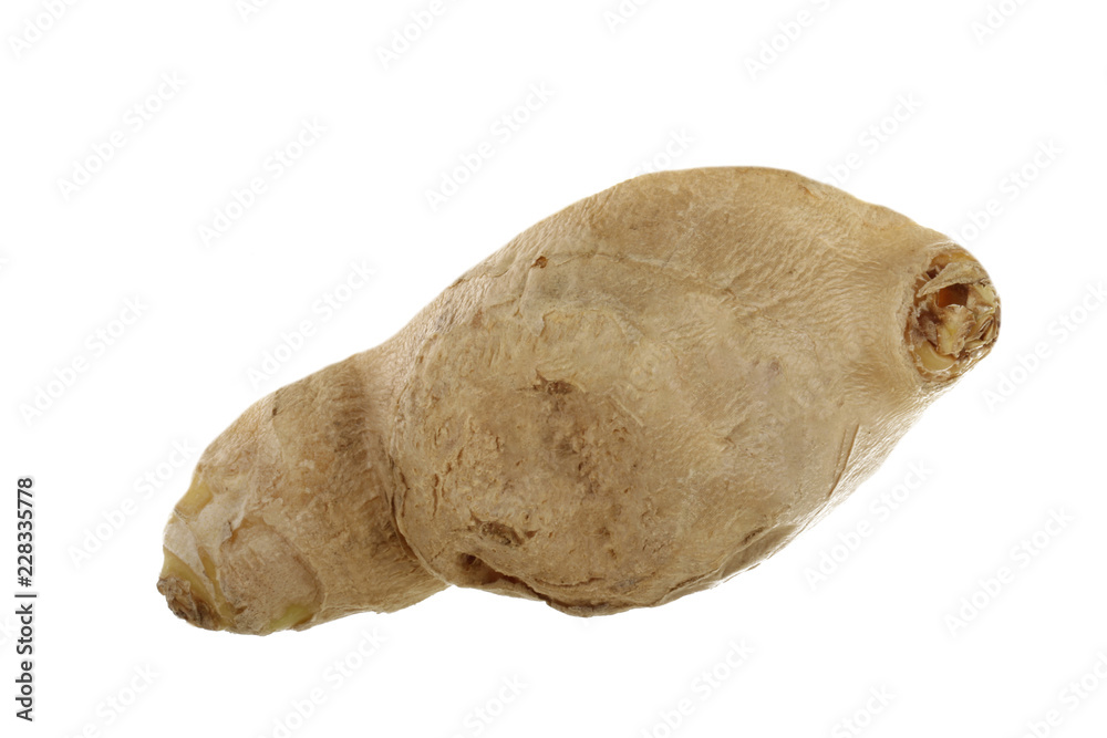 slice of ginger isolated slice of ginger isolated