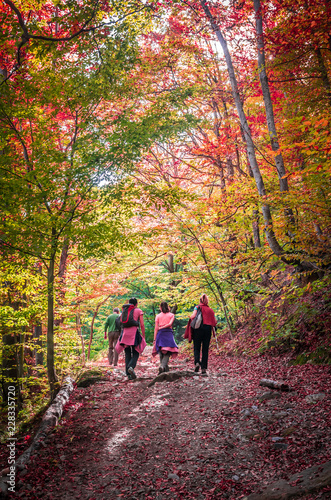 Autumn in Cozia, Carpathian Mountains, Romania. Young women walking in the forest and admiring the fall colors.