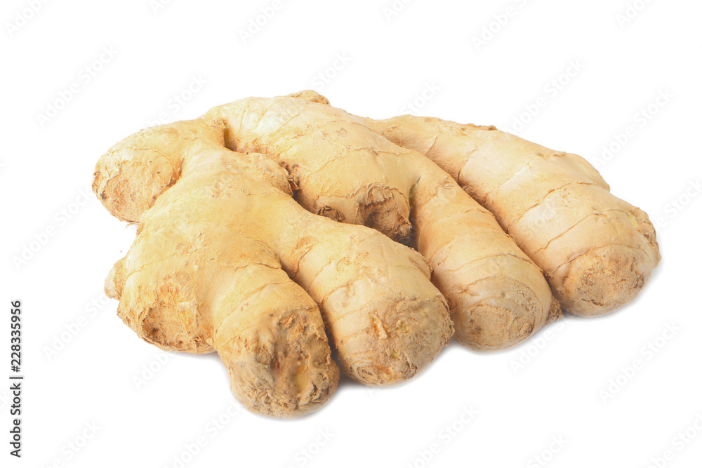 root of ginger isolated on white background root of ginger isolated on white background