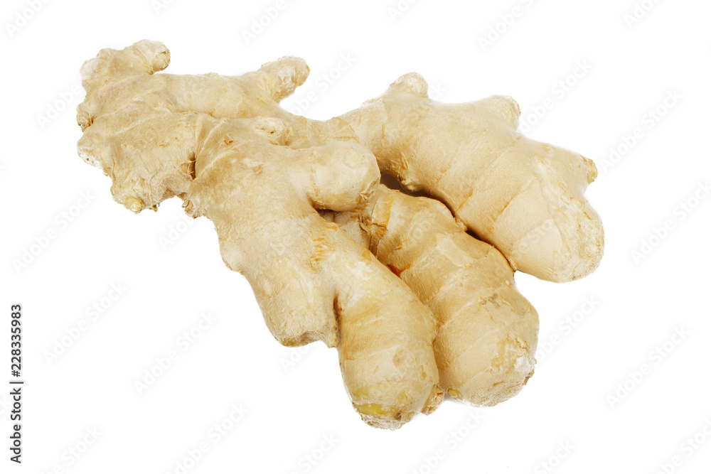 root of ginger isolated on white background root of ginger isolated on white background