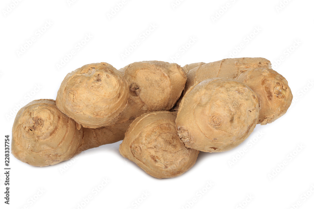 root of ginger isolated on white background root of ginger isolated on white background