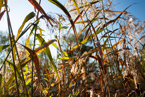 herbst photo