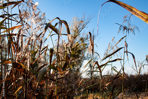 herbst photo