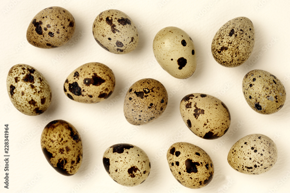 QUAILS EGGS QUAILS EGGS