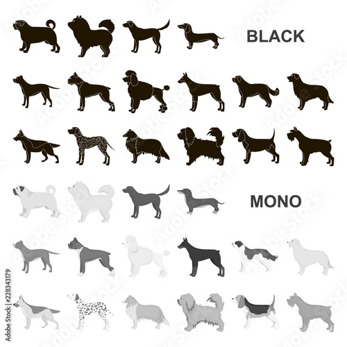 Dog breeds black icons in set collection for design.Dog pet vector symbol stock web illustration.