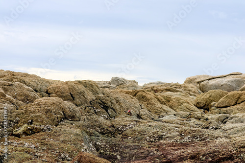 reef is a group of rocks a ridge of sand and blue sky background