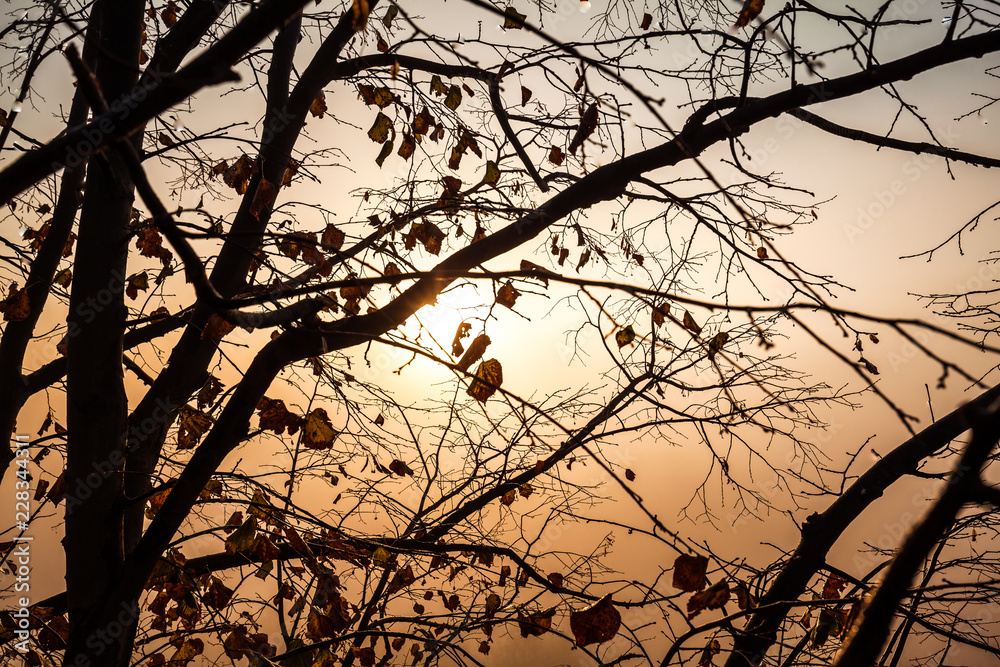 Colorful autumn scenery