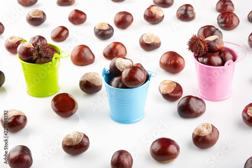 Colorful buckets with chestnuts and peeled horse-chestnuts photo