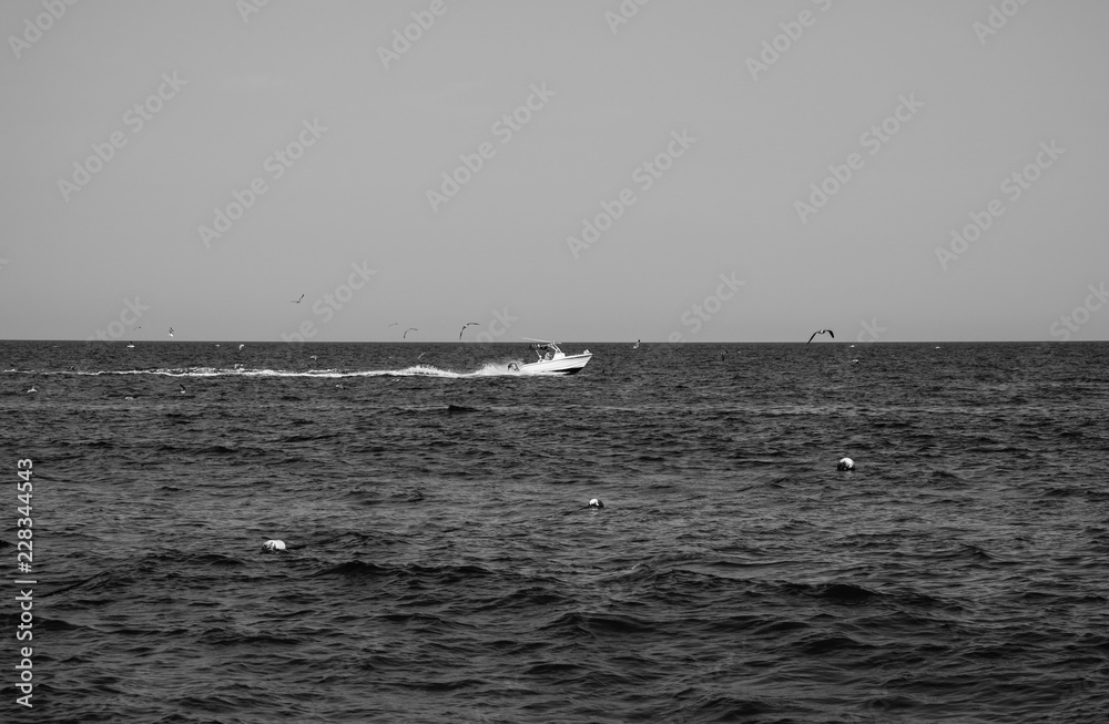 Boat racing across open ocean water. Boat speeding in the sea. Minimal nature photography. Beach view of maritime transportation. Minimal abstract nature landscape photography.
Boat racing across open ocean water. Boat speeding in the sea. Minimal nature photography. Beach view of maritime transportation. Minimal abstract nature landscape photography.