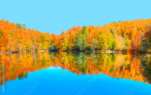 Yedigoller National Park - Bolu, Turkey