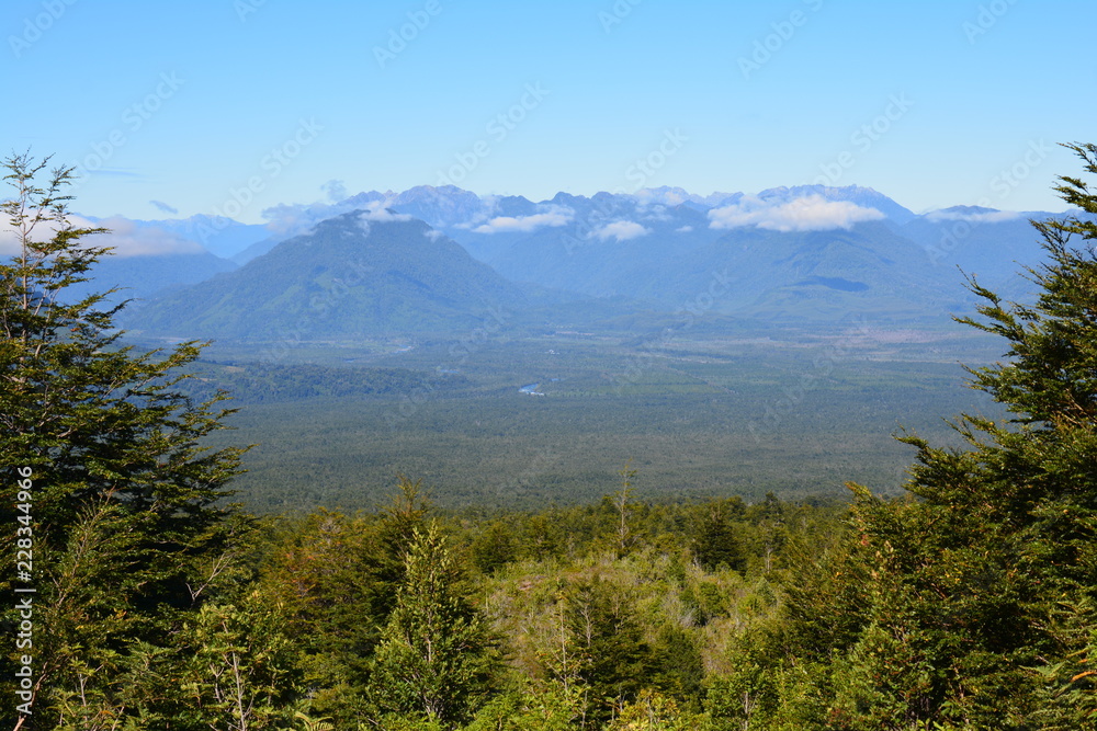 Panorama Forêt Araucanie Chili - Forest Araucania Chile