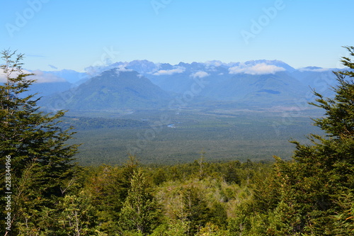 Panorama Forêt Araucanie Chili - Forest Araucania Chile