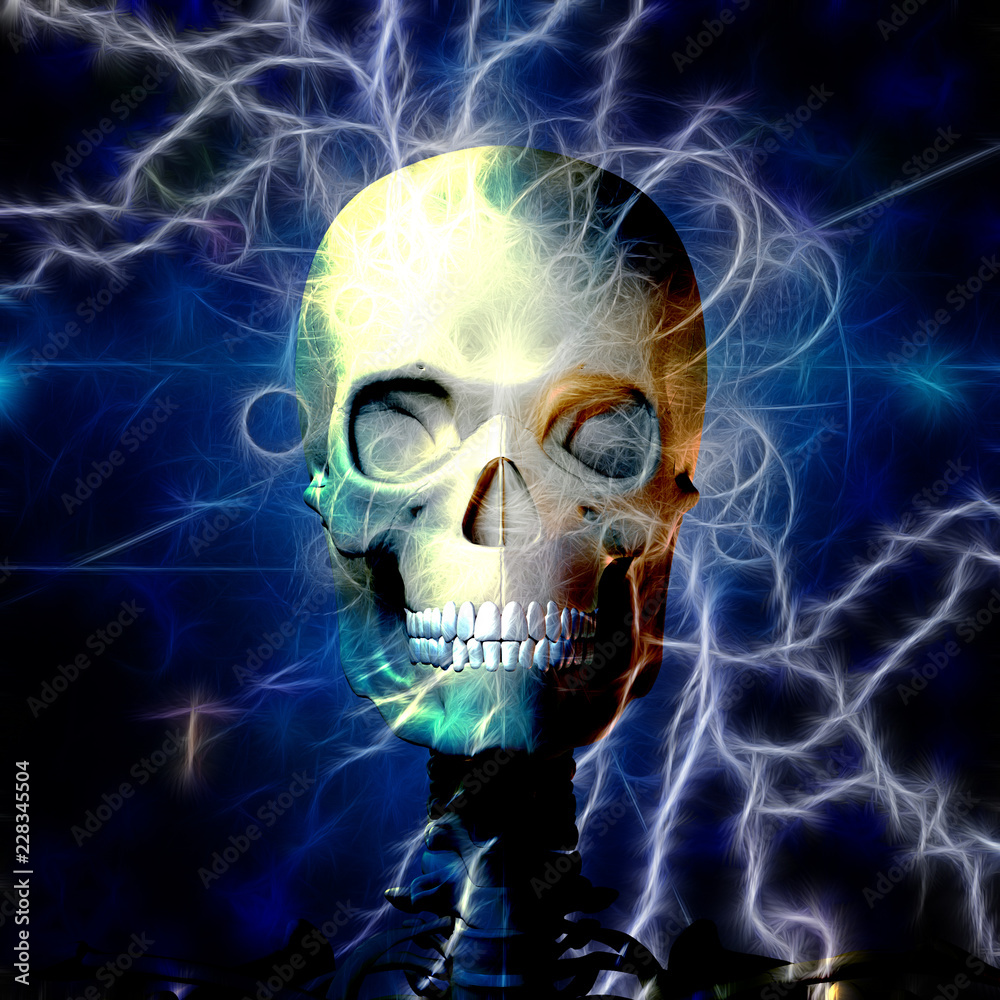 Skull Design Skull Design