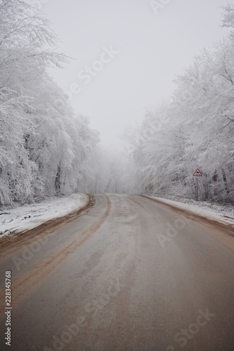 snowy winter road in a forest shrouded in snow