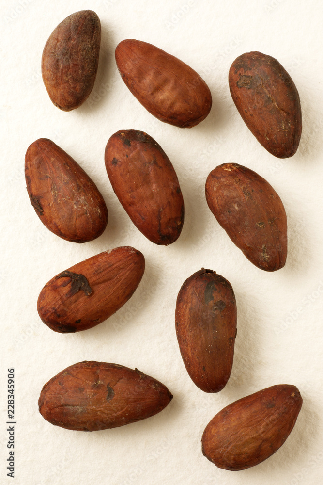 Obraz premium COCOA BEANS