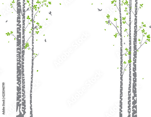 Beautiful tree branch with birds silhouette background for wallpaper sticker