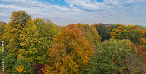 Fototapeta Naklejka Na Ścianę i Meble -  Blätter bekommen eine andere Farbe zum Herbstanfang