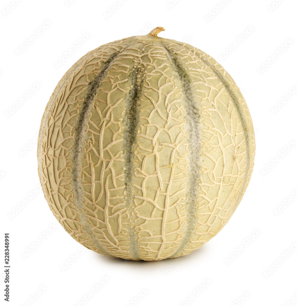 CANTALOUPE MELON CANTALOUPE MELON