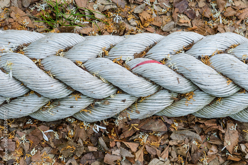 Close up of twisted rope background